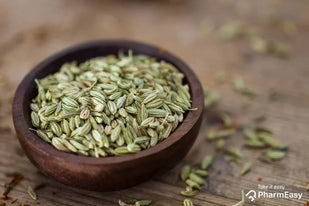 Fennel Seed